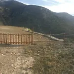 Oniropagida * Apollonia