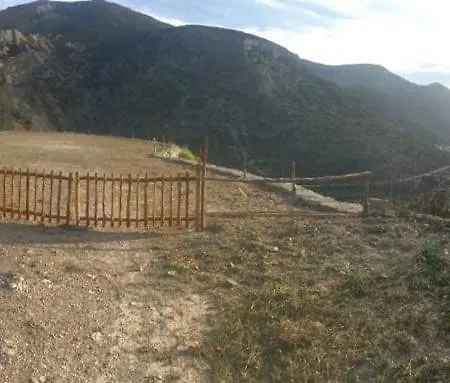 Oniropagida * Apollonia