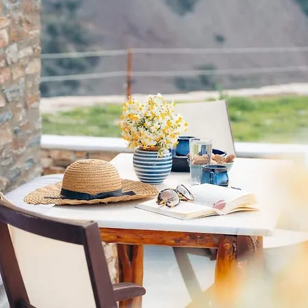 Oniropagida Apollonia