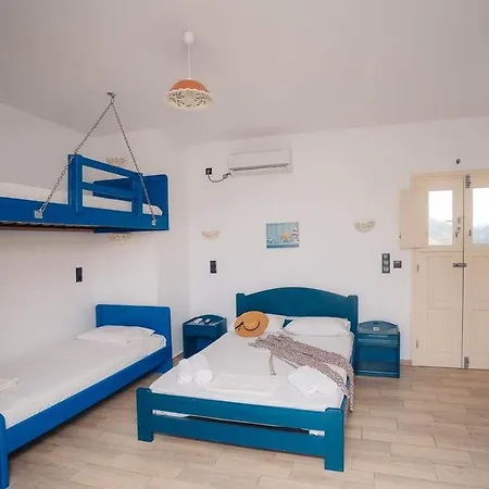 Oniropagida Apollonia