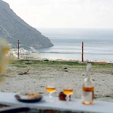 Oniropagida أبولونيا
