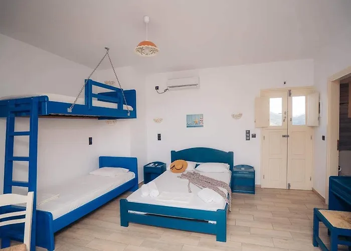 Oniropagida Apollonia