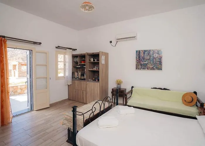 Oniropagida Apollonia